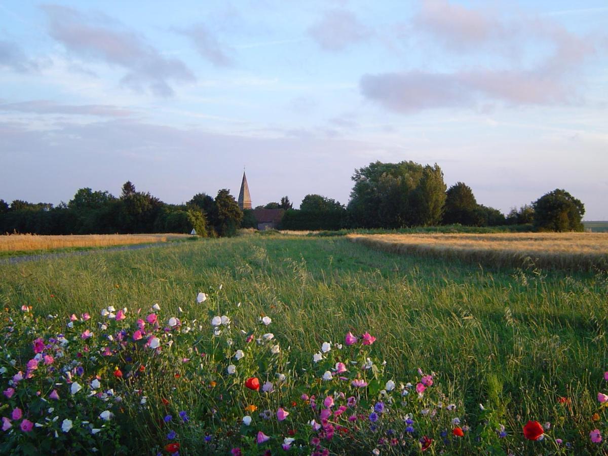 Hardecourt-aux-Bois Chavasse House, Chavasse Farm, Sommeヴィラ エクステリア 写真