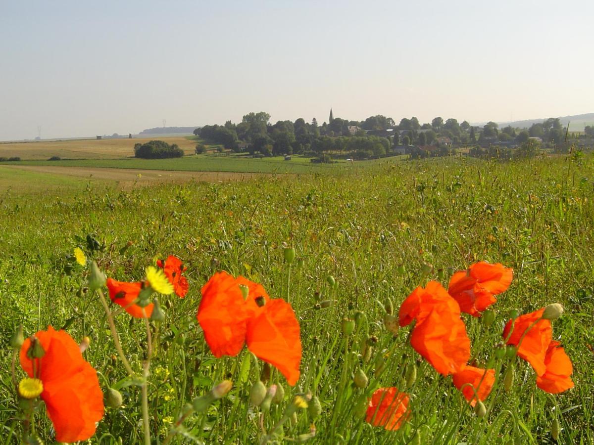 Hardecourt-aux-Bois Chavasse House, Chavasse Farm, Sommeヴィラ エクステリア 写真